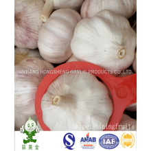 Best Quality Normal White Garlic 6.0cm